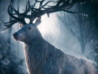 Netflix teaser ny fantasy-bog til live-action serie: Shadow and Bone