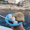 Frokost-perfektion i blå plastik - lokale råvarer: bøffelmozzarella, lokale oliven, krydret olivenolie og brød til at dyppe i. - Rejse-reportage: Kulinarisk roadtrip i Lazio-regionen i Italien