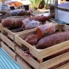 Sobrassada og andre lokale delikatesser i Ciutadella. - Rejse-reportage: på magisk kulturgastronomisk eventyr væk fra alfarvejen på Menorca