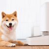 Xiaomi Smart Pet Feeder - Smart Pet Feeder: Xiaomi lader dig fodre kæledyret fra mobilen i op til 20 dage