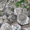 Giant's Causeway: Det skal du vide om Nordirlands mest unikke naturfænomen
