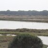 Flamingoer i naturreservatet Diaccia Botrona i oktober.  - Rejsereportage: Det kystvendte Toscana