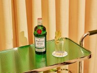 Inspiration til nytårsdrinks: 3 nytårscocktails med gin og alkoholfri gin
