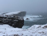 Rejse-reportage: Whisky-eventyr på Orkneyøerne