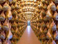Rejse-reportage: På oste- og skinkeeventyr i Parma Italien