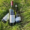 Malbec, Cabernet Sauvignong og Chardonnay udgør trekløveret der står for størstedelen af Terrazas palette - Klimaforandringer og Vin: Terrazas de los Andes' højtliggende løsning
