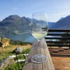 Argentinsk high altitude vin i de norske højder - Foto: Mikkel M. Vermeulen - Klimaforandringer og Vin: Terrazas de los Andes' højtliggende løsning