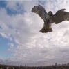 Høg angriber kamera-drone