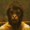 Foto: Universal "Monkey Man" - Dev Patel springer ud som instruktør i voldsparat hævnfilm