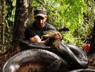 Vildt forsøg: Kan man(d) blive slugt af en Anaconda?