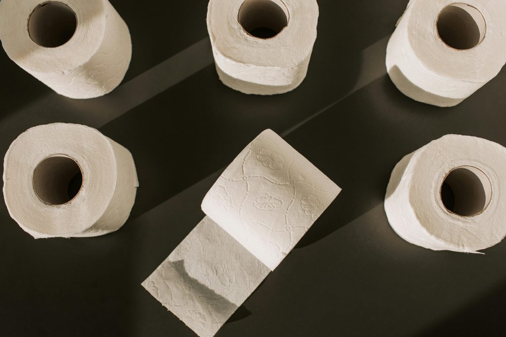 6 ting du kan bruge en tom toiletrulle til – som faktisk virker