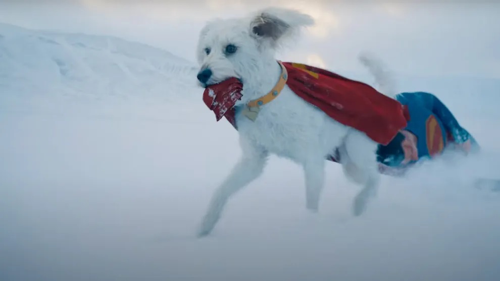 Krypto stjæler rampelyset i ‘Superman’ – og får hele verden til at google hundeadoption