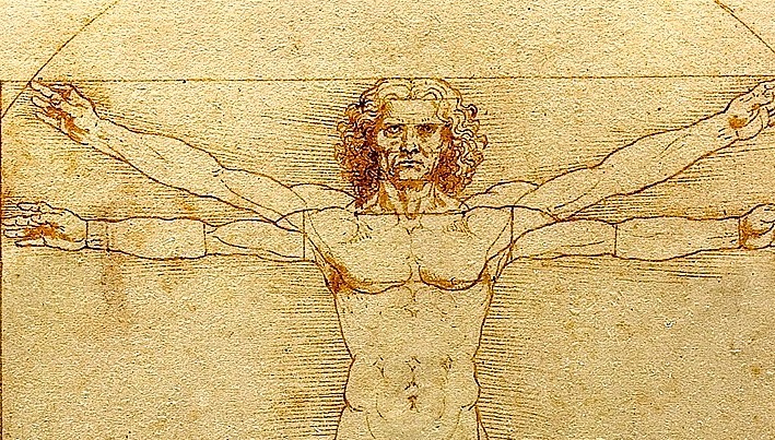 Skjult detalje i skridtet løser 500 år gammelt Da Vinci-mysterium