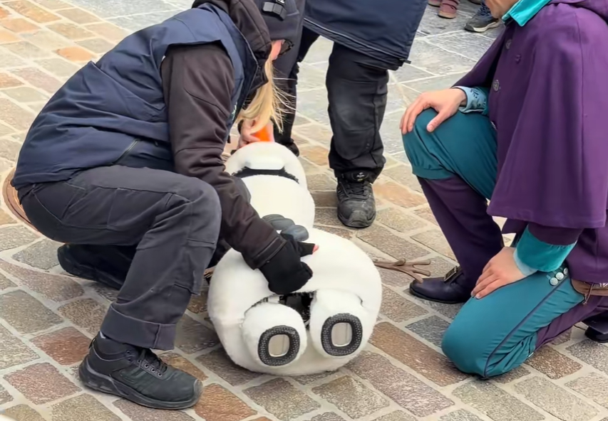 Ville hygge sig med Olaf i Disneyland: Disney-figuren havde dog helt andre planer